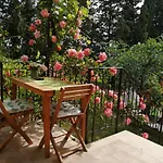 Apartma Medosi *