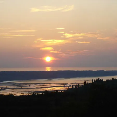 Apartment Apartma Medosi